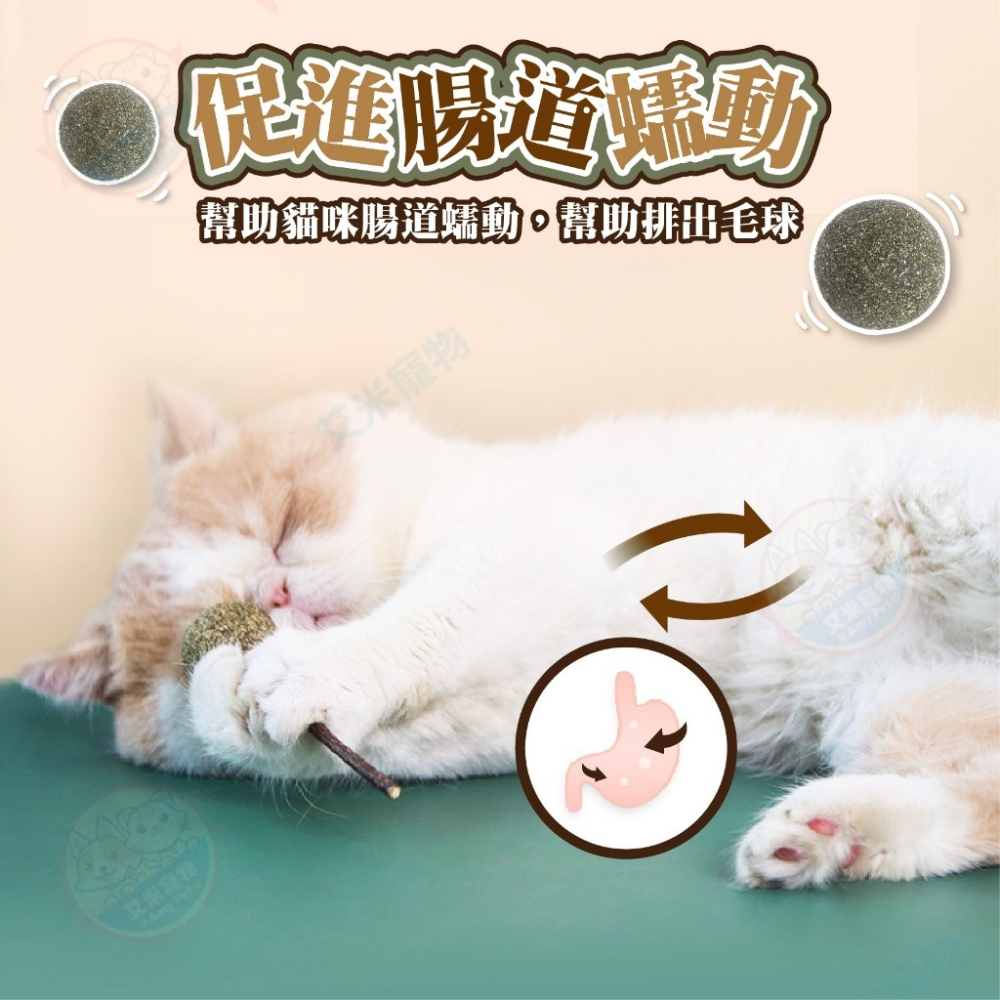 【艾米】貓薄荷木天蓼棒棒糖 木天蓼 木天蓼棒 貓草球 貓草 貓咪用品 貓薄荷球 貓薄荷草 貓薄荷-細節圖6