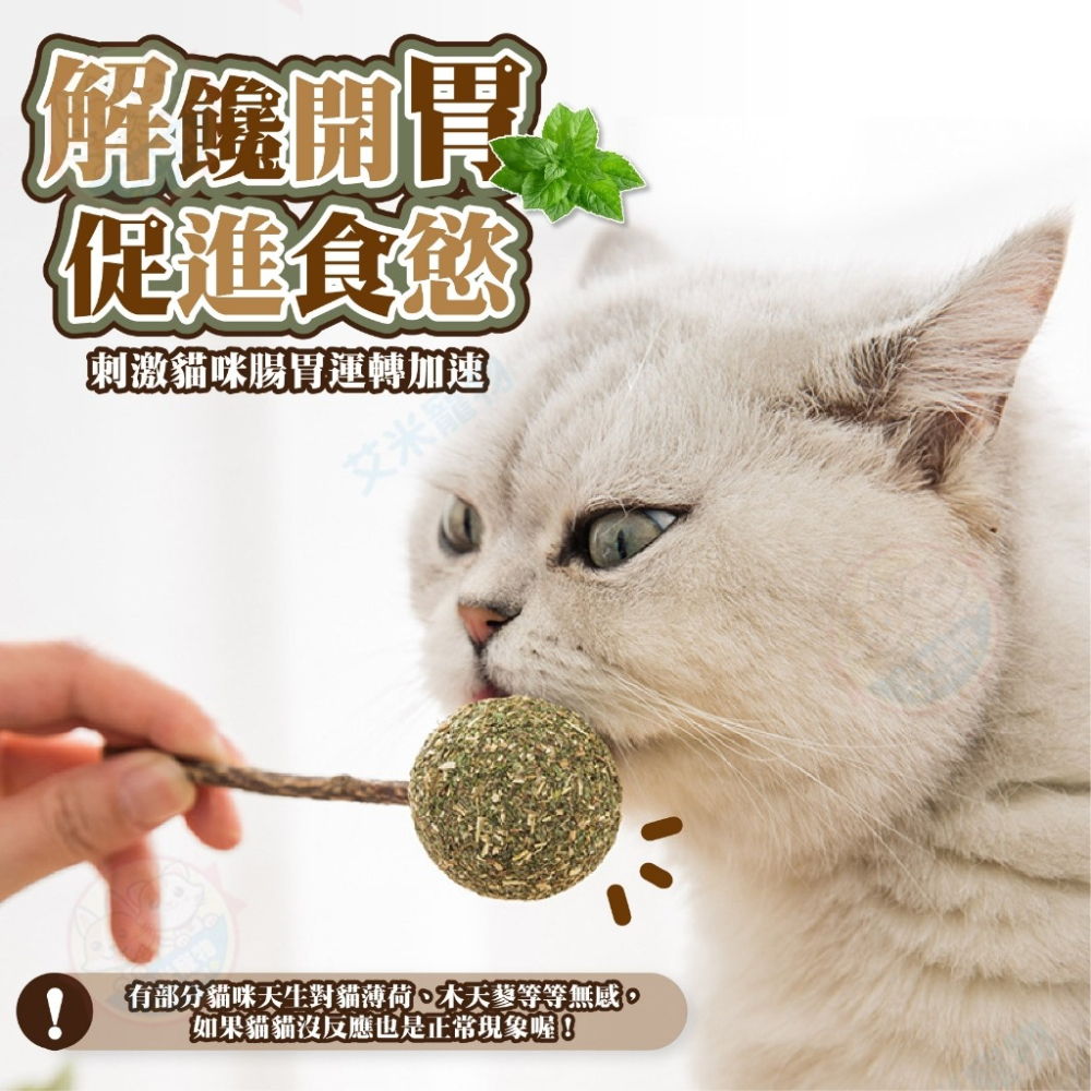 【艾米】貓薄荷木天蓼棒棒糖 木天蓼 木天蓼棒 貓草球 貓草 貓咪用品 貓薄荷球 貓薄荷草 貓薄荷-細節圖7