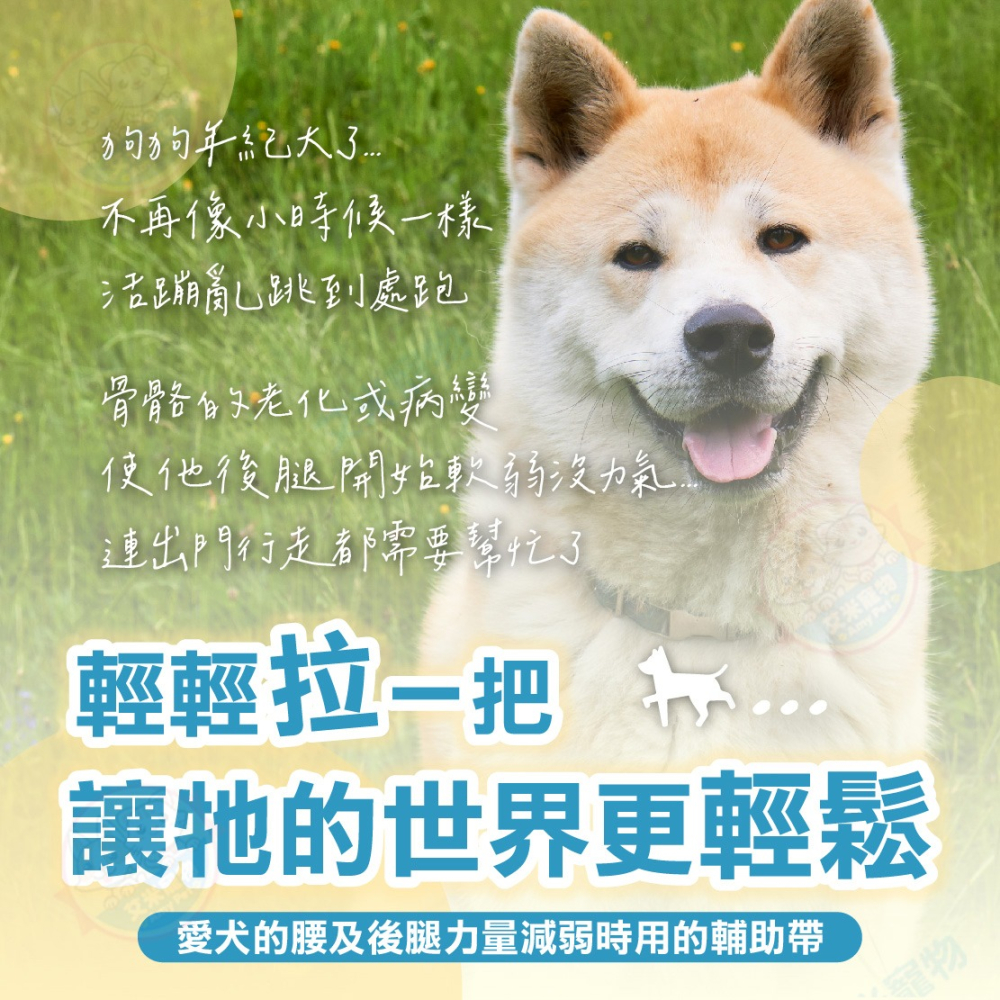 【艾米】寵物後腿輔助帶 高齡犬 老犬 寵物補助用品 寵物牽繩 寵物護理 狗狗護理 狗用補助帶 寵物補助帶-細節圖3