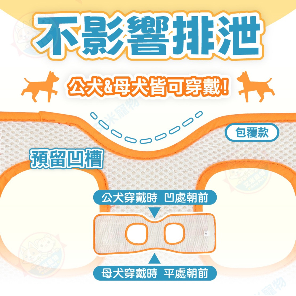 【艾米】寵物後腿輔助帶 高齡犬 老犬 寵物補助用品 寵物牽繩 寵物護理 狗狗護理 狗用補助帶 寵物補助帶-細節圖7