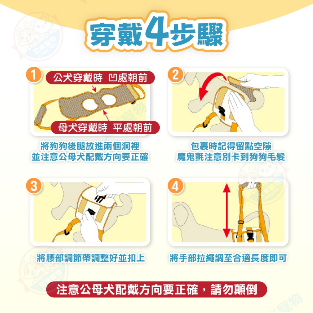 【艾米】寵物後腿輔助帶 高齡犬 老犬 寵物補助用品 寵物牽繩 寵物護理 狗狗護理 狗用補助帶 寵物補助帶-細節圖8