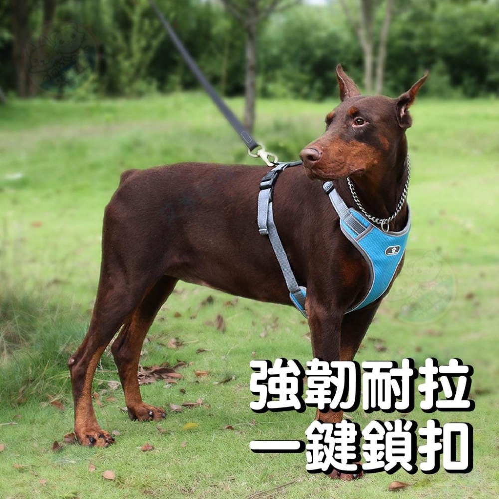 【艾米】網布防暴衝胸背帶 夜間反光胸背帶 狗胸背 遛狗繩 大型犬胸背帶 中型犬胸背帶 背心式寵物胸背帶 透氣胸背帶-細節圖3