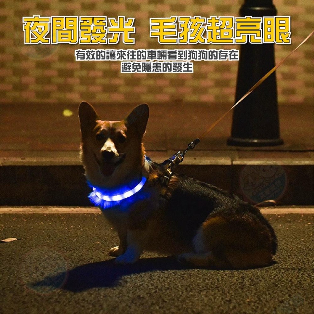 【艾米】USB充電式發光項圈 寵物項圈 LED項圈 防走失項圈 派對項圈 寵物項圈 溜狗項圈 夜光項圈 貓咪項圈-細節圖3