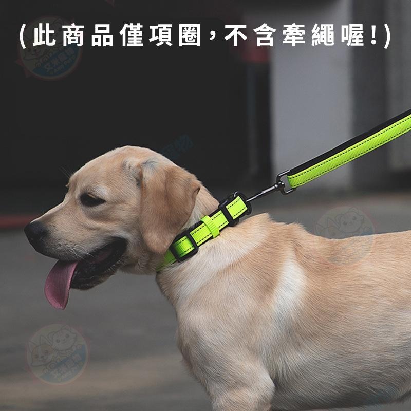 【艾米】高品質PANDA反光項圈 項圈 狗項圈 犬用品 寵物項圈 寵物用品 反光條圈 安全項圈-細節圖3
