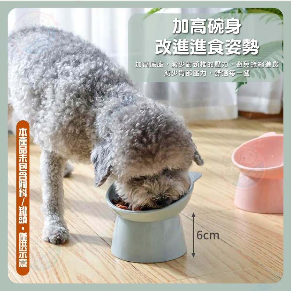 【艾米】傾斜高腳寵物碗 飼料碗 貓碗 架高碗 狗碗 護頸寵物碗 高腳碗 寵物飼料盆-細節圖5