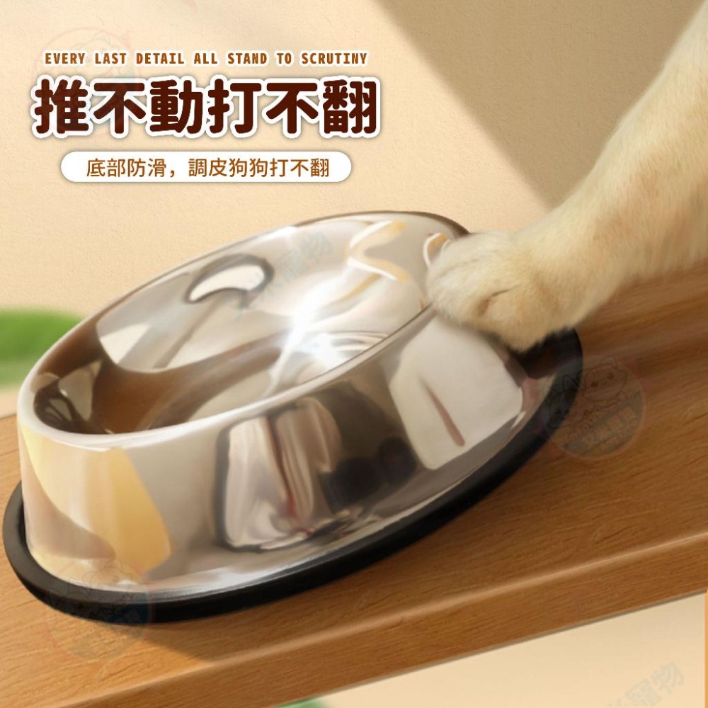 【艾米】不鏽鋼防滑碗 寵物用品 寵物碗 寵物飼料碗 寵物食盆 飼料碗 飼料盆 狗碗 狗狗碗 貓碗-細節圖4