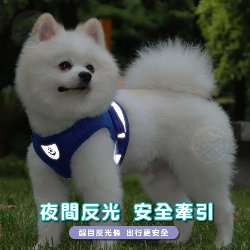 【艾米】寵物反光胸背衣 寵物用品/寵物外出/寵物胸背衣/寵物牽繩/狗狗外出/貓咪外出/胸背衣/遛狗/遛貓-細節圖7