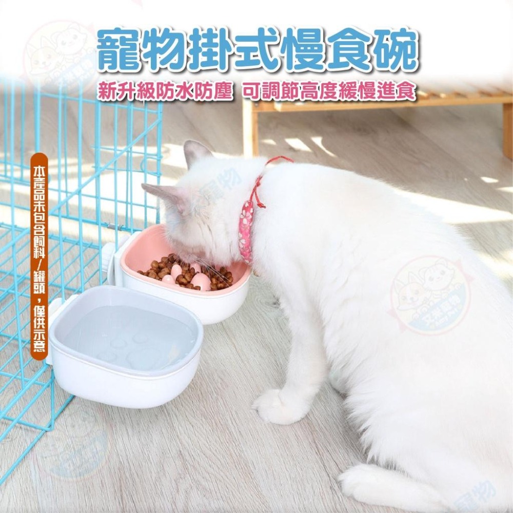 【艾米】寵物掛式慢食碗 寵物用品 寵物碗 寵物飼料碗 寵物餵食 狗碗 貓碗 寵物慢食 飼料碗 飼料盆 掛碗-細節圖3