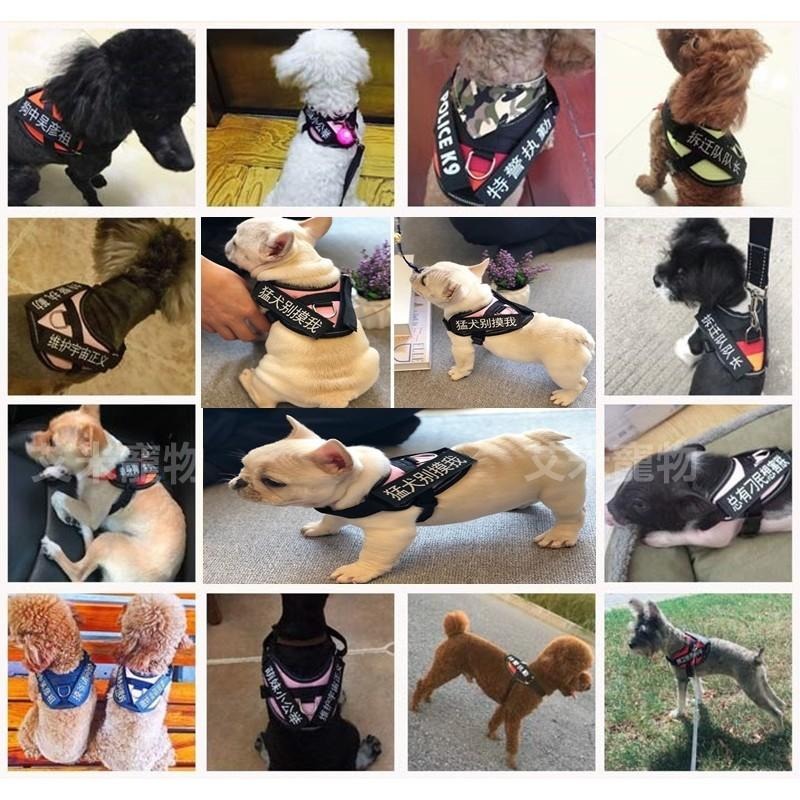 【艾米】小型犬貓咪胸背帶 寵物防暴衝 胸背帶 牽引繩 寵物外出 胸衣 牽引衣 胸衣 遛狗 遛貓 兔子胸背 胸背衣-細節圖3