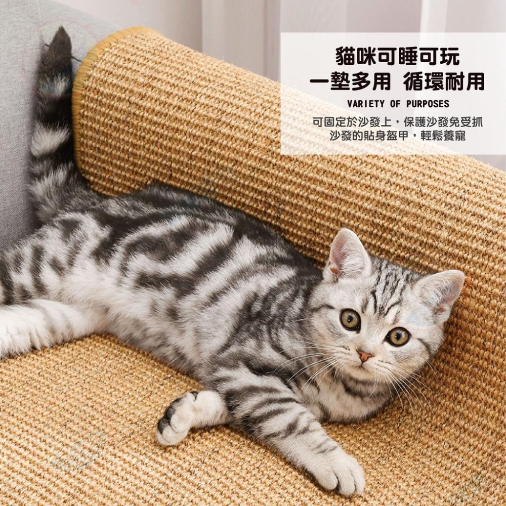 【艾米】劍麻貓抓墊 貓睡墊 貓磨爪 寵物用品 貓咪抓板 貓咪玩具 磨抓板貓抓墊 貓抓板 貓墊子 劍麻墊-細節圖4