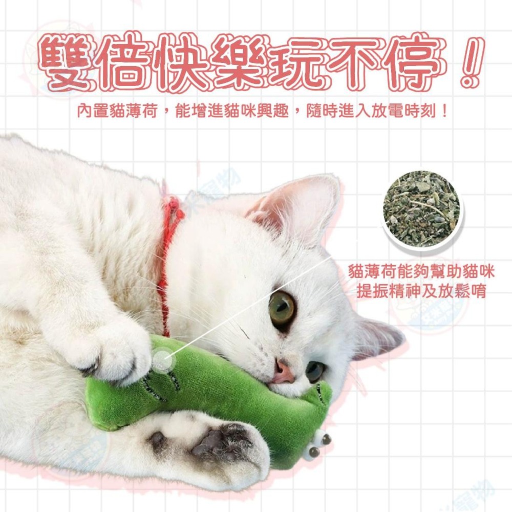 【艾米】貓薄荷毛絨玩具 寵物玩具 貓薄荷 貓草玩具 毛絨玩具 耐咬玩具 貓咪玩具 貓玩具 紓壓玩具 寵物用品-細節圖4