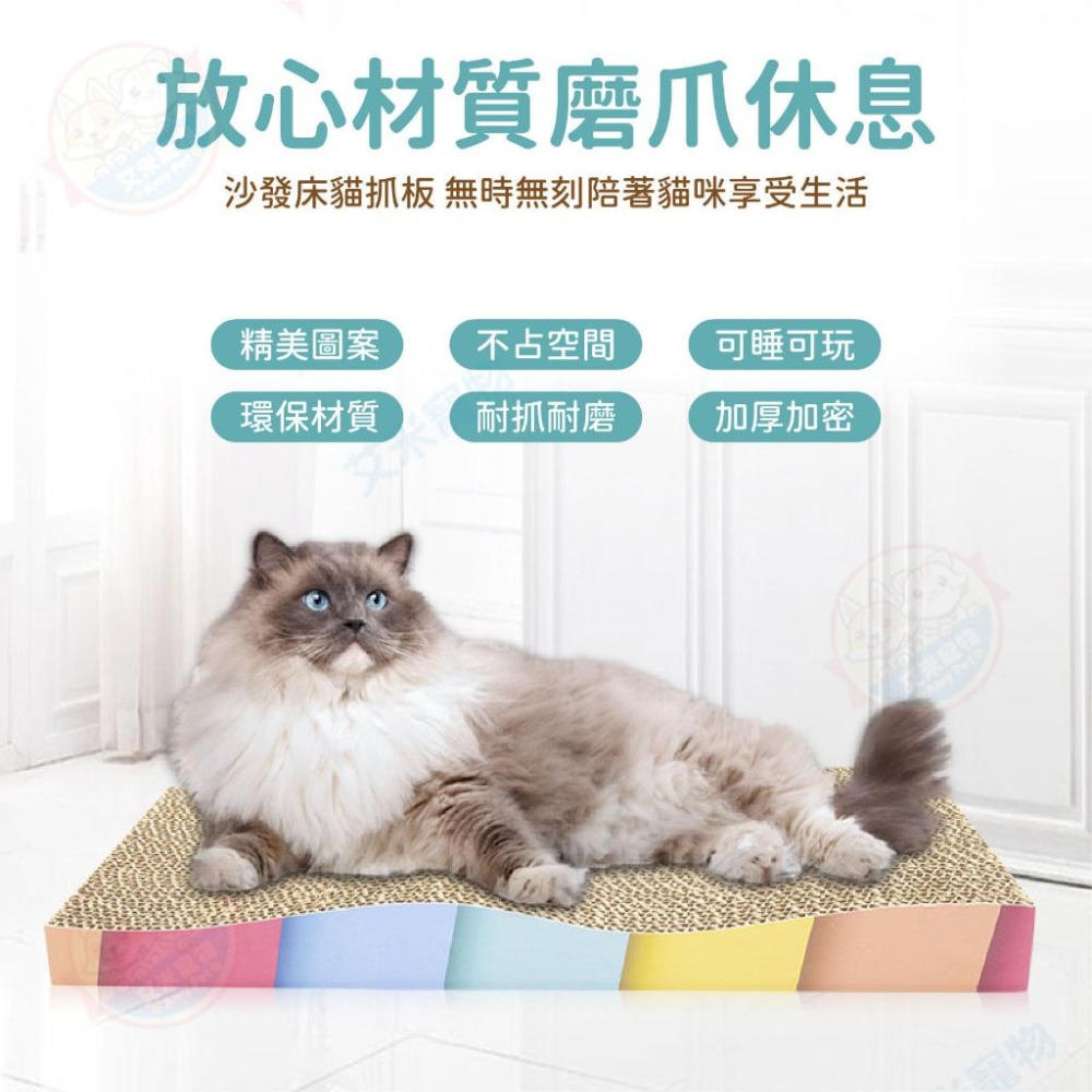 【艾米】耐抓貓抓板 貓床 貓咪玩具 貓咪瓦楞紙 磨爪抓板 貓玩具 寵物玩具 貓抓板 小貓玩具-細節圖3