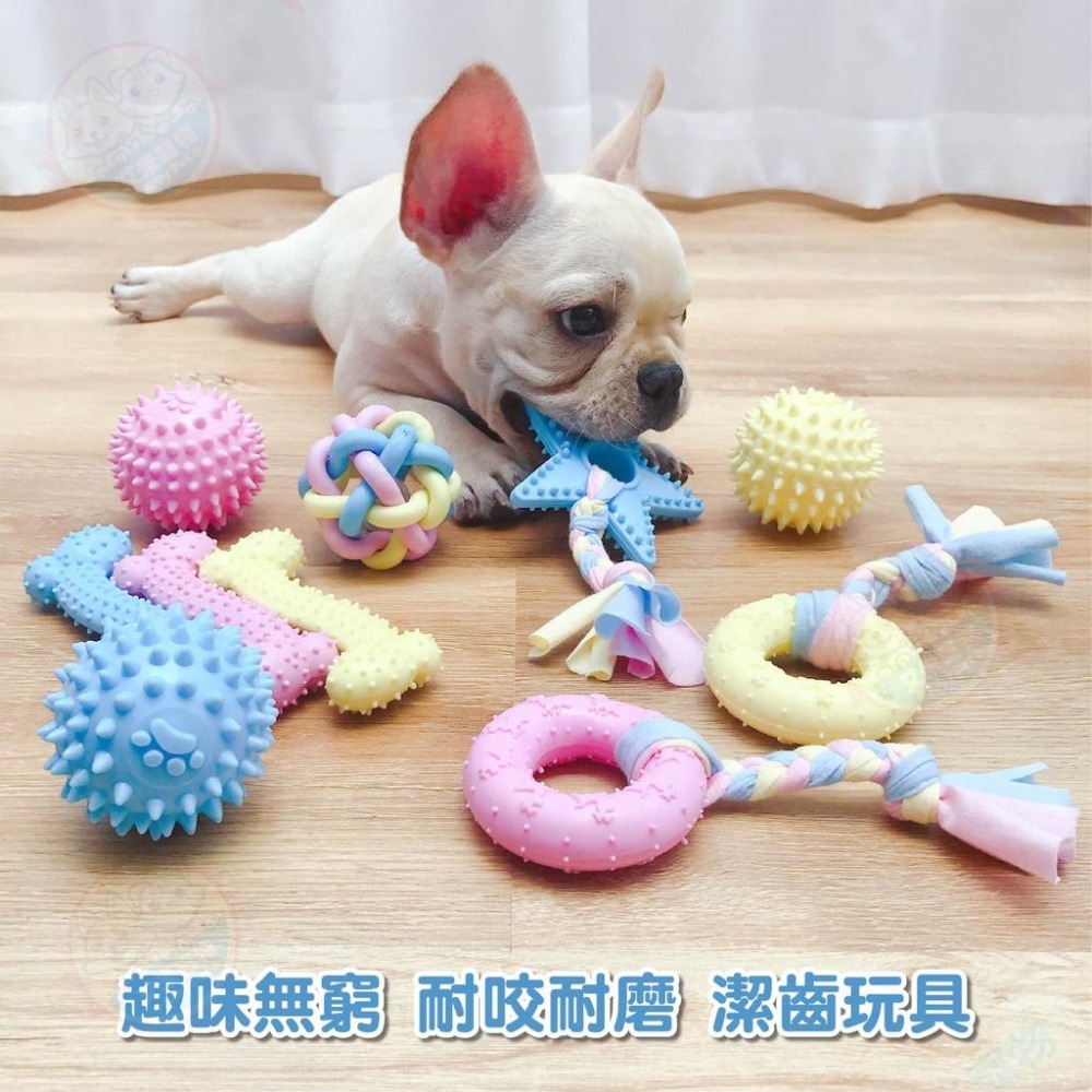 【艾米】糖果色TPR玩具 狗玩具 啃咬玩具 磨牙玩具 狗玩具球 寵物用品 寵物玩具 耐咬玩具-細節圖3