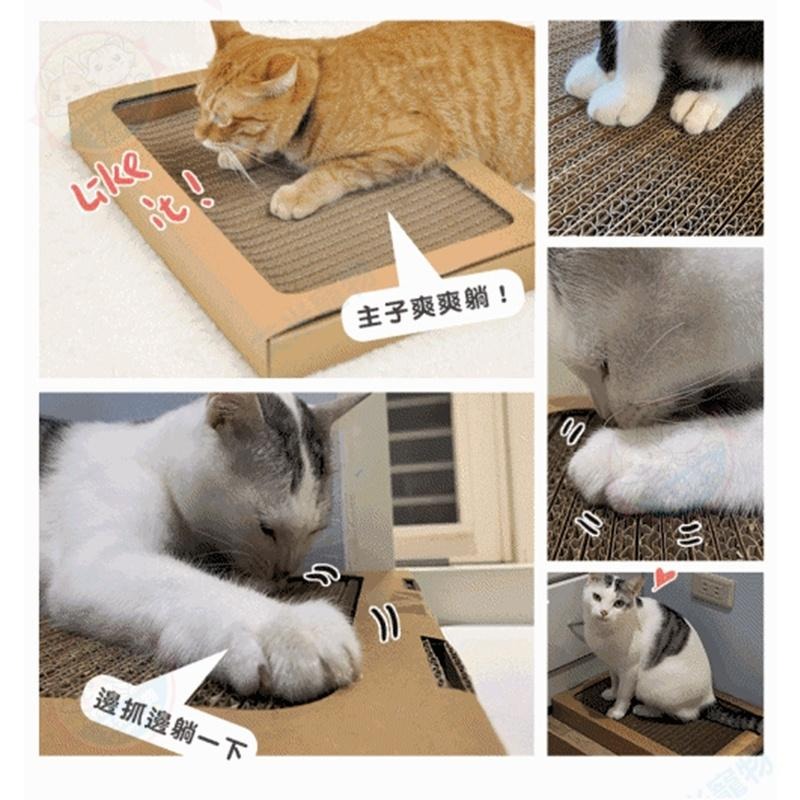 【艾米】Parkcat隨喵抓機能貓抓板 貓樂園 貓用品 寵物用品 貓抓板 貓咪瓦楞紙 機能貓抓板 貓咪抓板 貓玩具-細節圖3