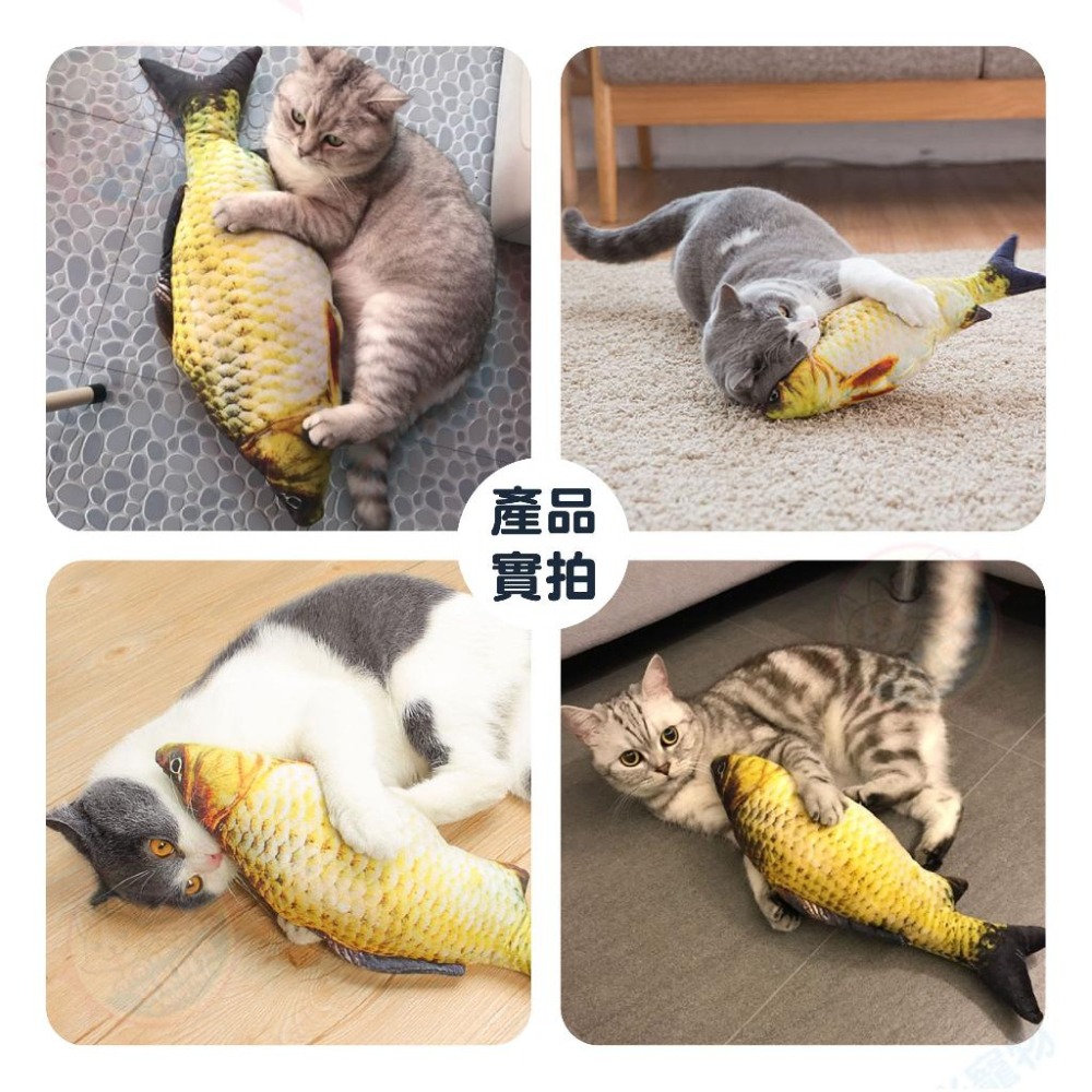 【艾米】貓薄荷魚造型抱枕    寵物玩具 貓玩具 貓咪玩具 仿真草魚 貓草抱枕 寵物用品-細節圖3