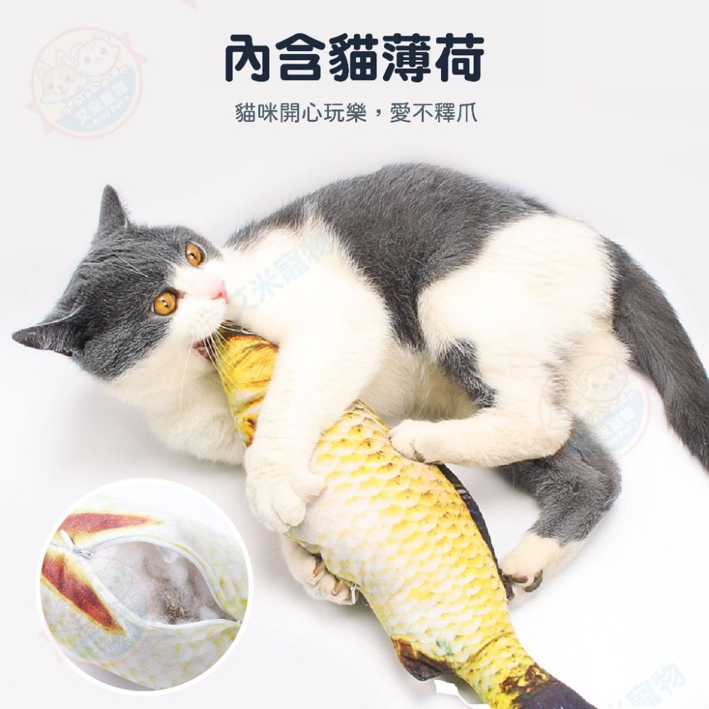 【艾米】貓薄荷魚造型抱枕    寵物玩具 貓玩具 貓咪玩具 仿真草魚 貓草抱枕 寵物用品-細節圖7