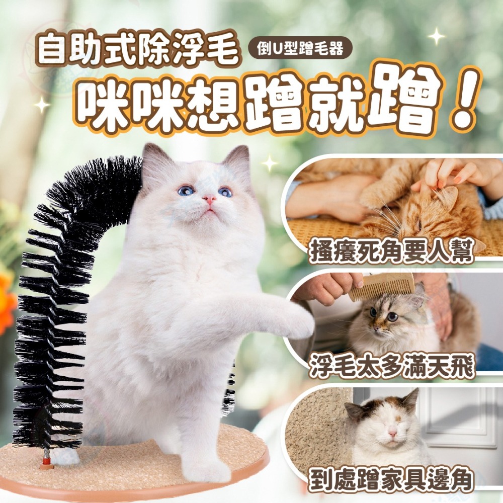 【艾米】貓咪抓癢器  貓咪蹭毛器 貓刷 蹭毛刷 貓抓癢 貓咪理毛刷 寵物用品 貓梳毛 貓玩具 貓咪玩具-細節圖3