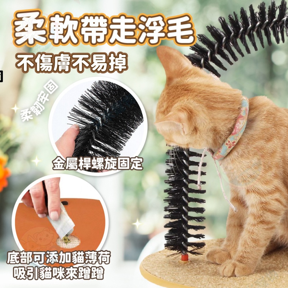 【艾米】貓咪抓癢器  貓咪蹭毛器 貓刷 蹭毛刷 貓抓癢 貓咪理毛刷 寵物用品 貓梳毛 貓玩具 貓咪玩具-細節圖4