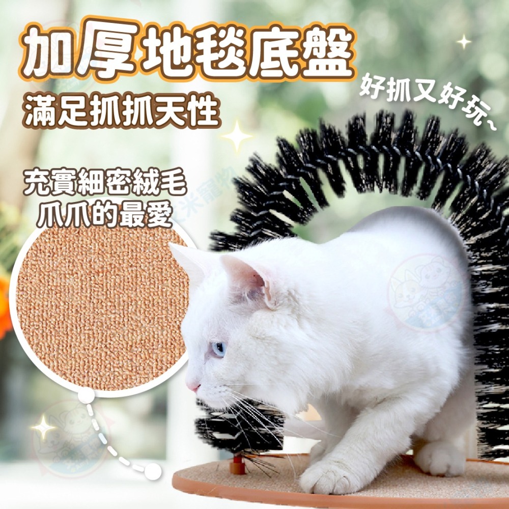 【艾米】貓咪抓癢器  貓咪蹭毛器 貓刷 蹭毛刷 貓抓癢 貓咪理毛刷 寵物用品 貓梳毛 貓玩具 貓咪玩具-細節圖5