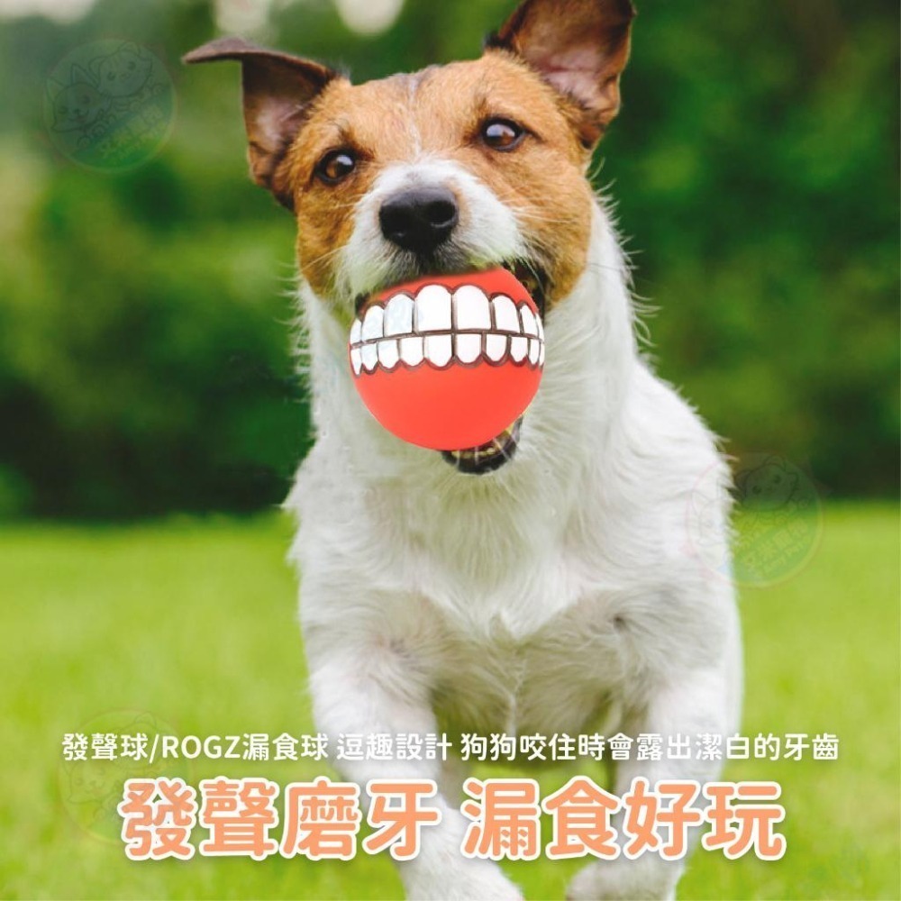 【艾米】ROGZ牙齒笑笑球 寵物玩具 狗狗玩具 貓咪玩具 發聲球 磨牙球 狗玩具 小狗玩具 小型犬玩具 中型犬玩具-細節圖4