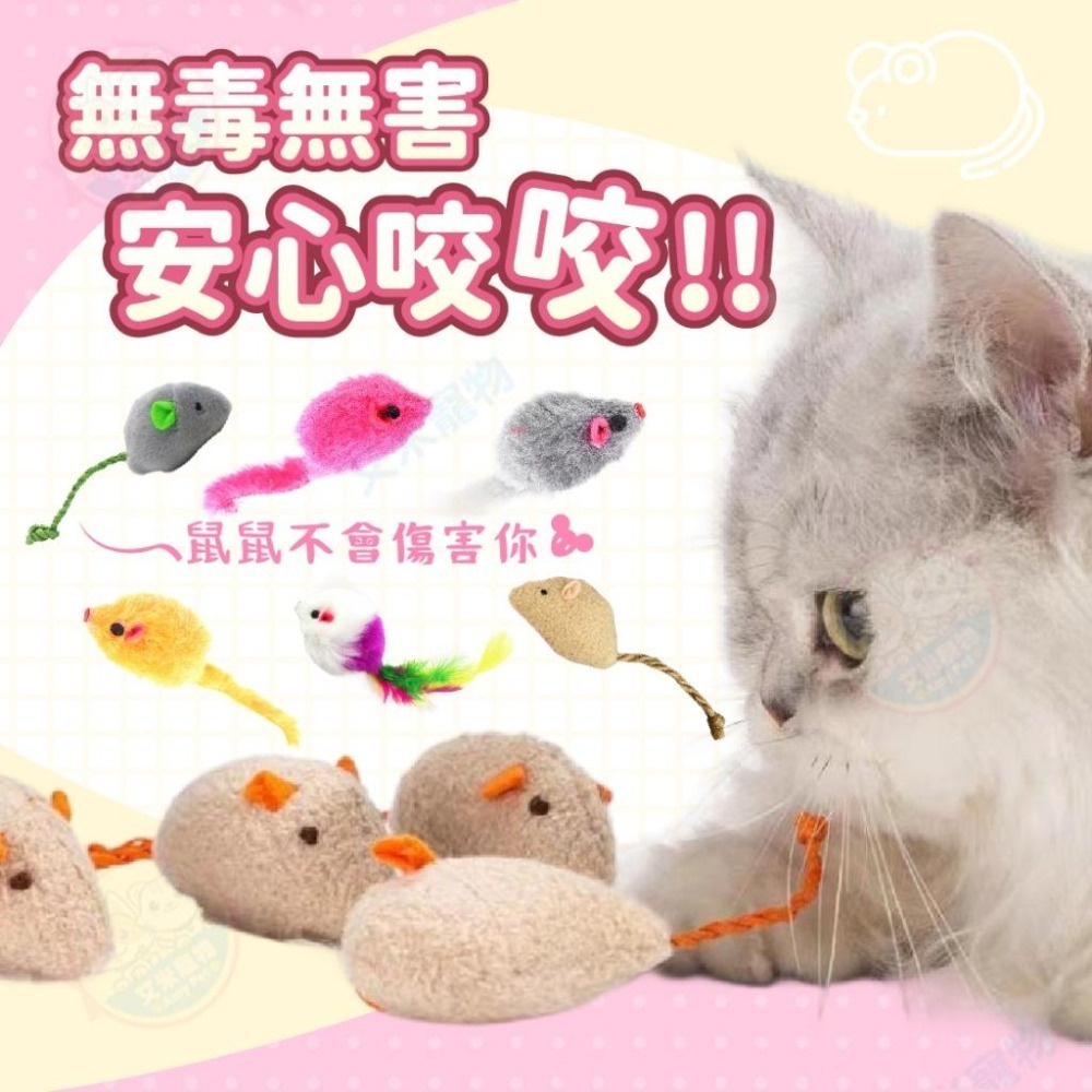 【艾米】小老鼠逗貓玩具 寵物玩具/貓玩具/貓薄荷/老鼠玩具/逗貓玩具/逗貓老鼠/沙鈴鼠/絨布鼠-細節圖8