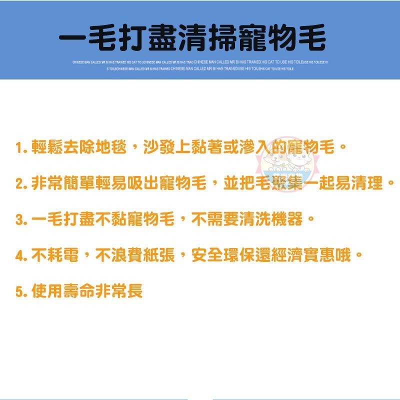 【艾米】寵物除毛磚  神奇除毛海綿 除毛神器 貓除毛 寵物刷毛神器 地毯除毛 沙發除毛 狗狗毛髮 除毛磚 狗除毛-細節圖7