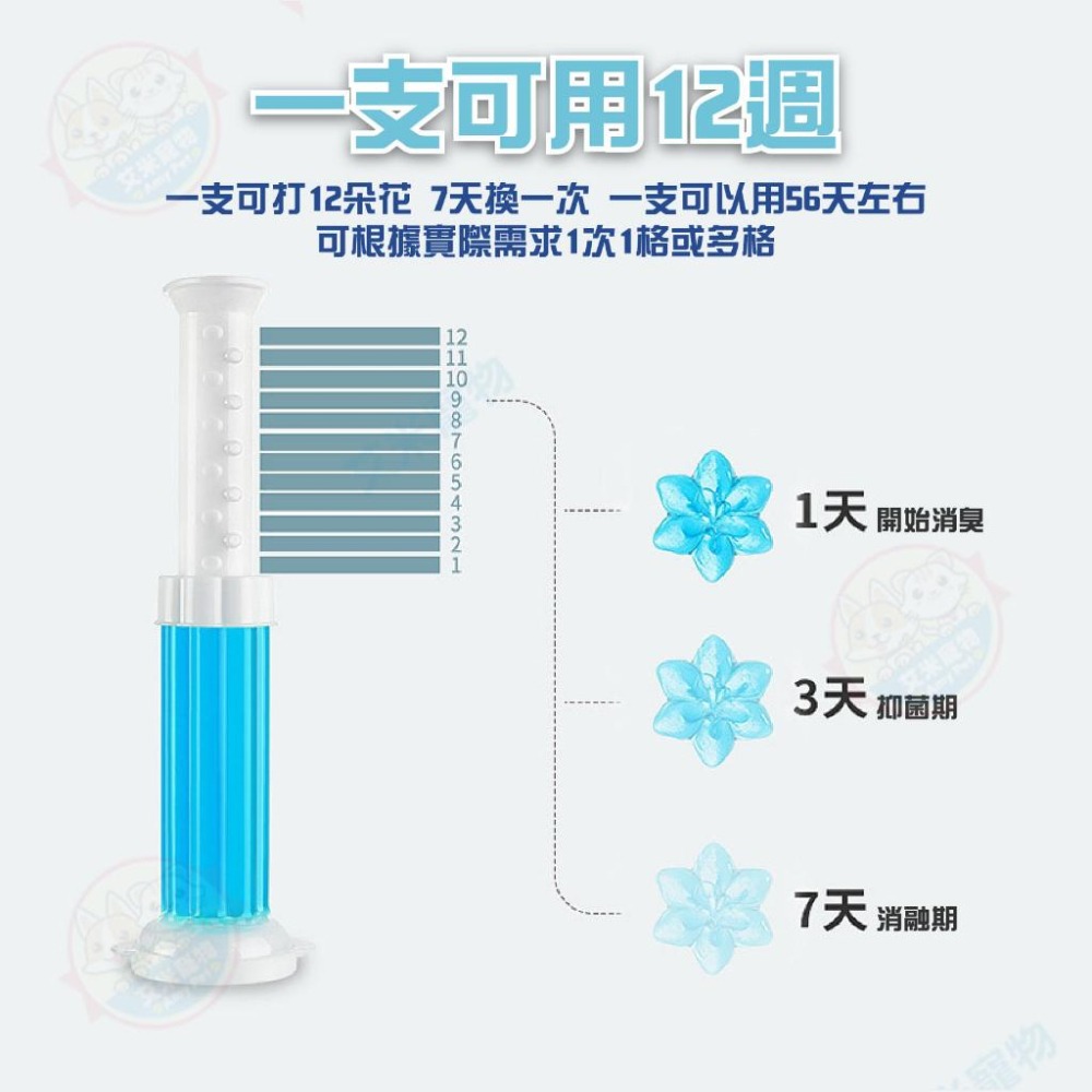 【艾米】馬桶芳香凝膠 潔廁清香凍 馬桶清潔球 芳香劑 馬桶小花凝膠 馬桶清潔劑 馬桶除臭凝膠 廁所芳香劑-細節圖8