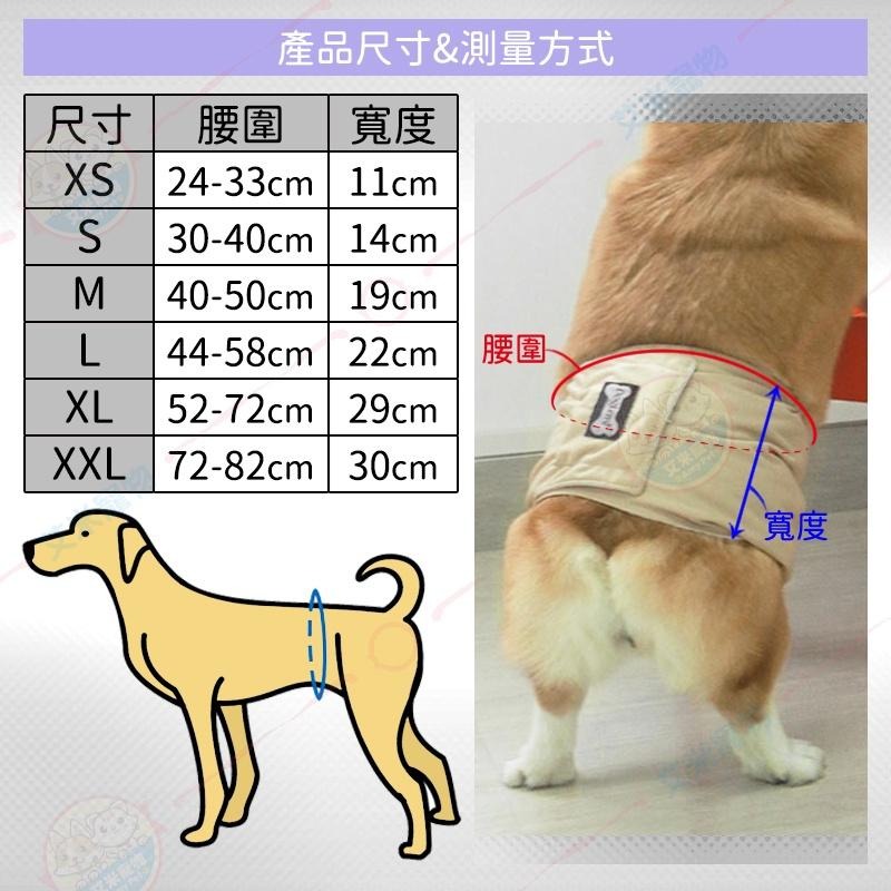 【艾米】狗狗禮貌褲 寵物用品 寵物服飾 禮貌帶 公狗禮貌褲 公狗生理褲 公狗可洗尿布 防止發情 防隨意尿尿-細節圖5