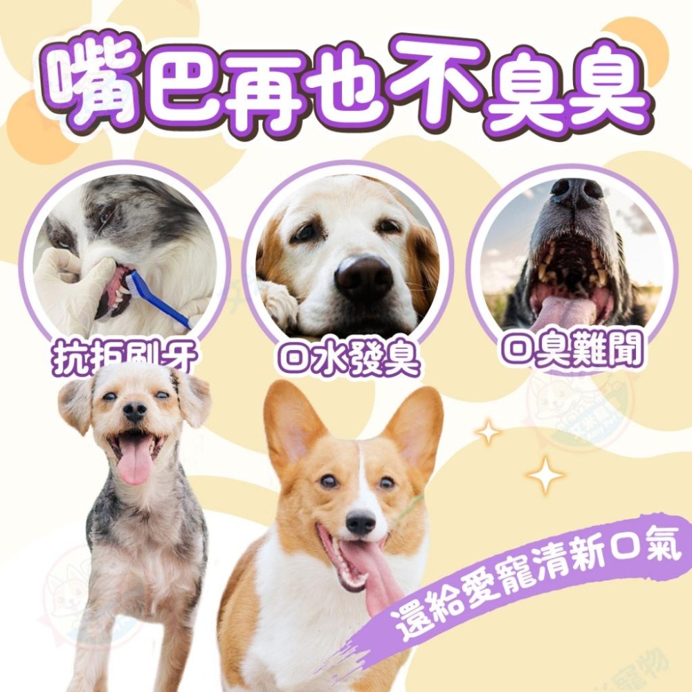 【艾米】犬貓口腔噴霧 寵物用品 口腔噴霧 口腔 喷雾 口臭 口臭救星 口腔清新 口噴 貓咪口臭-細節圖3