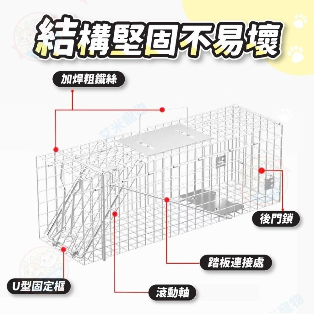 【艾米】折疊式誘捕籠 誘捕籠 捕貓籠 貓咪誘捕籠 抓貓 折疊籠 捕狗籠 貓誘捕籠 捕貓神器 大型誘捕籠 誘捕籠 貓 TN-細節圖4