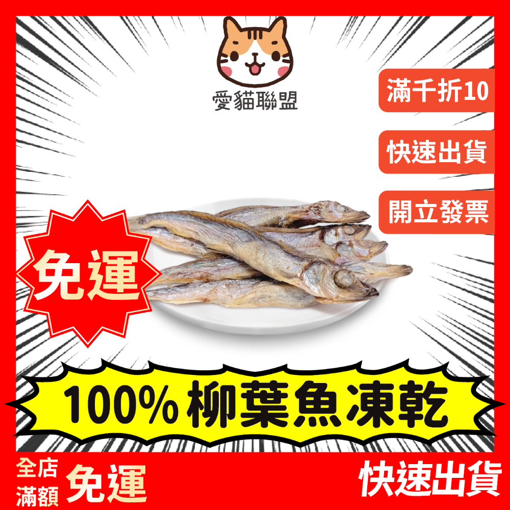 10.柳葉魚凍乾｜現貨