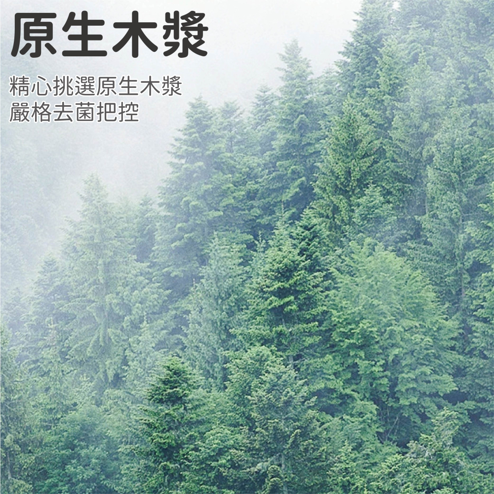 【海麗娜】卡皮巴拉手帕紙 水豚手帕紙 隨身包面紙 三層加厚 便攜衛生紙 面巾紙 小包紙巾 生活小物【D136】-細節圖3