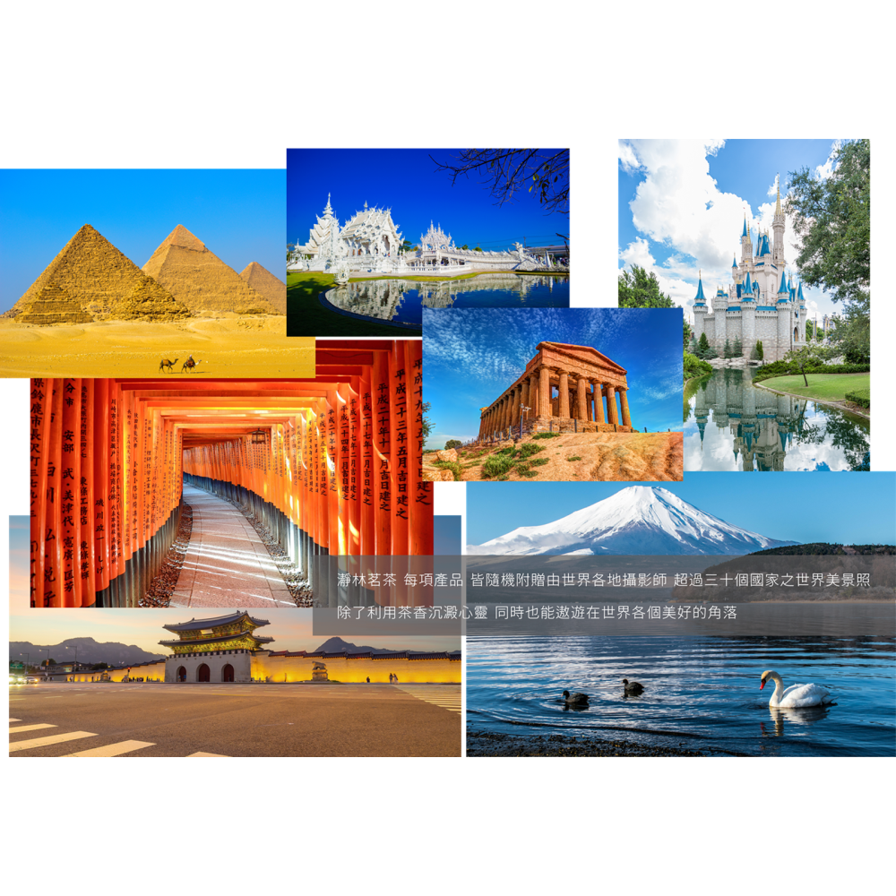 【瀞林茗茶】一杯茶｜一段旅程，嚴選各地優質好茶的「精品綜合」(附贈世界風景照)-細節圖6