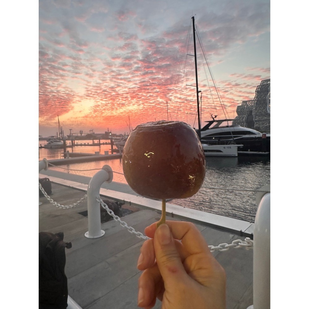 蜜餞迷你糖葫蘆-細節圖10