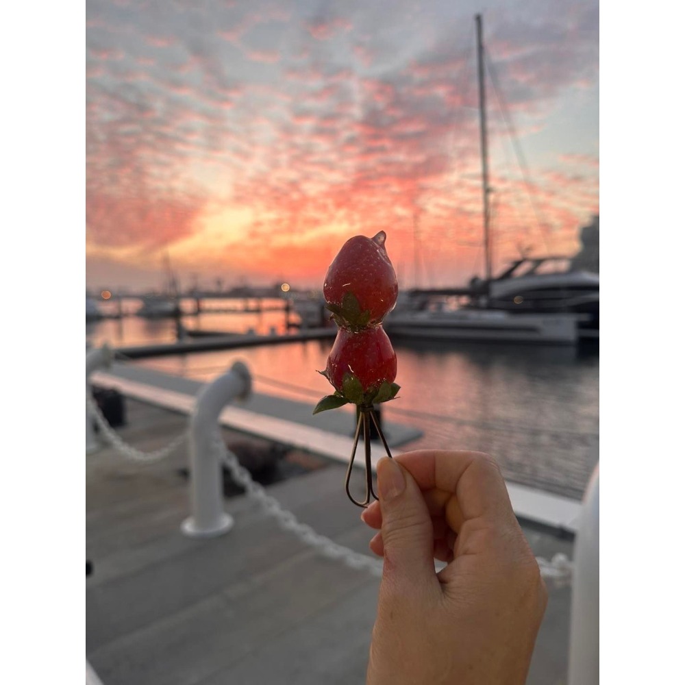 紫色葡萄糖葫蘆-細節圖10