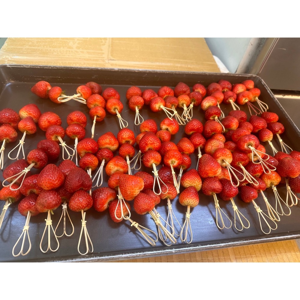 綠色奇異果乾糖葫蘆-細節圖7