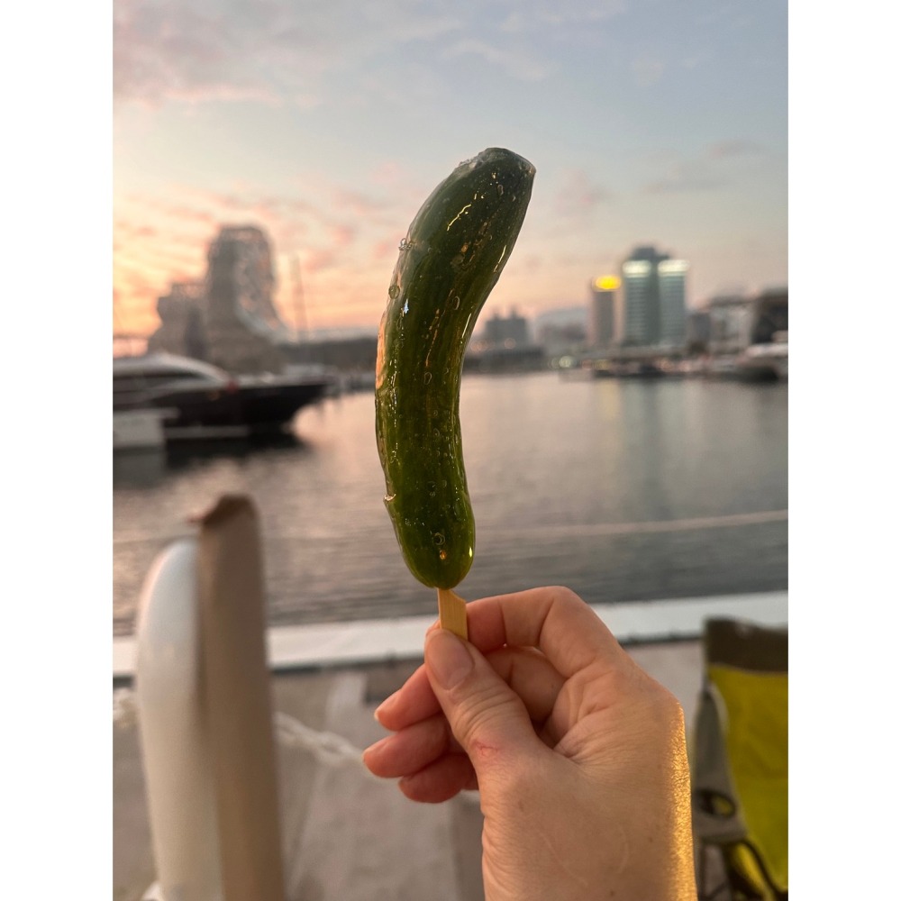 綠色奇異果乾糖葫蘆-細節圖9