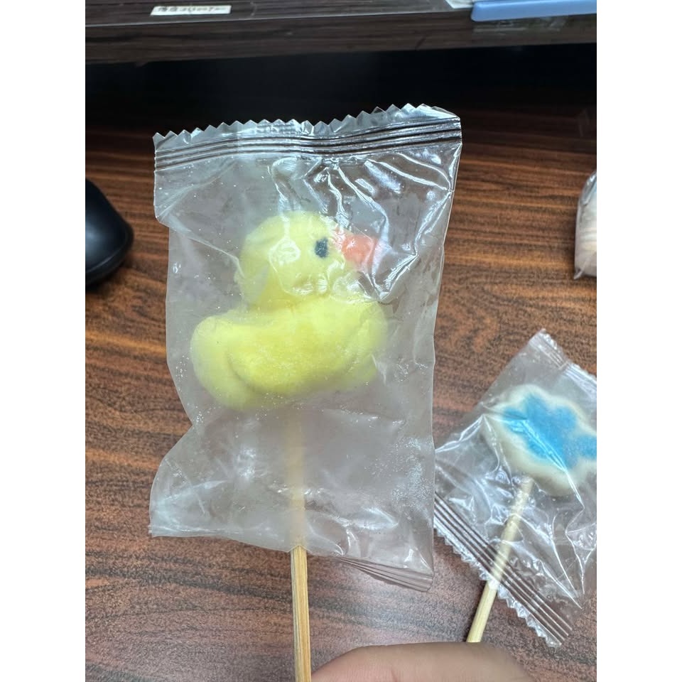 立體柴犬棉花糖(這個是棉花糖)-細節圖3