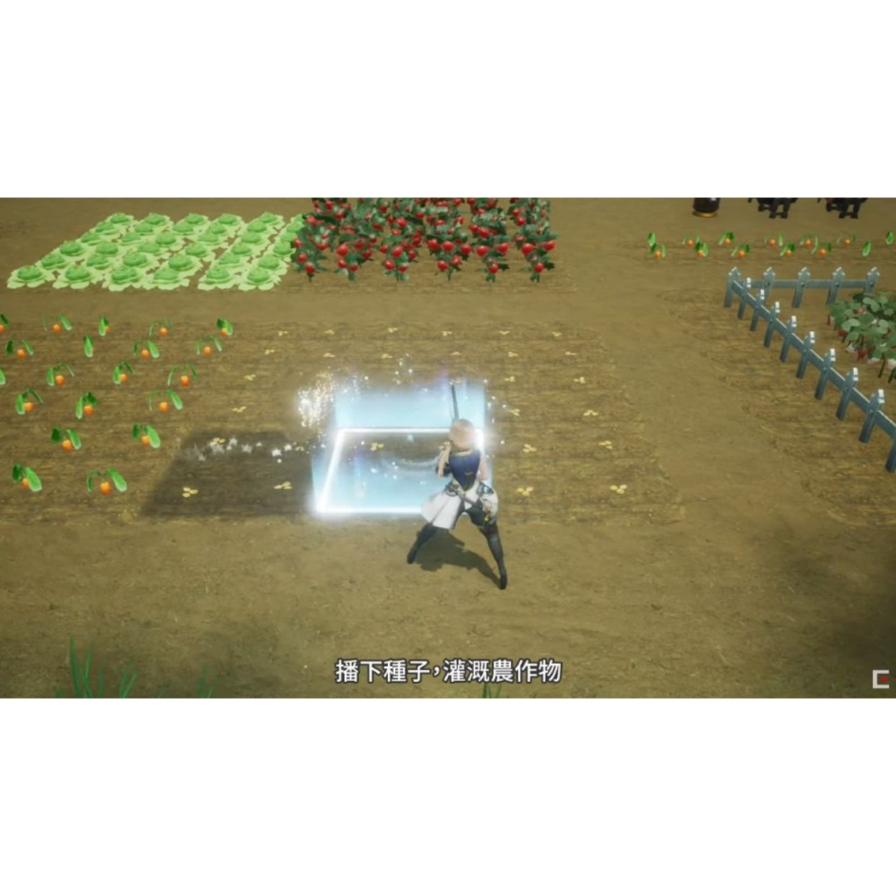 【小芷電玩】全新現貨 NS Switch 收穫之星 HARVESTELLA 中文版-細節圖3