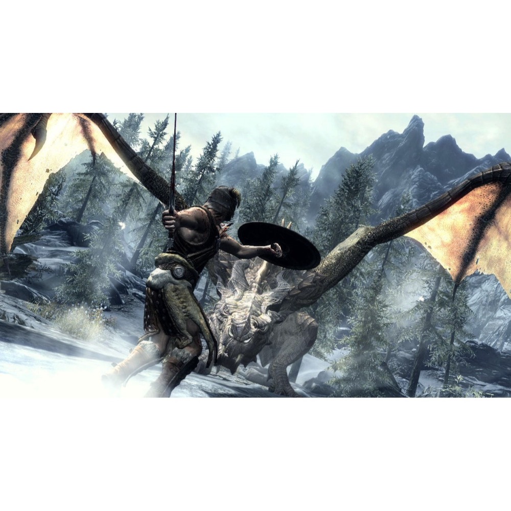 【小芷電玩】全新現貨 NS 上古卷軸 5：無界天際 Skyrim 上古卷軸5 上古5 中文版-細節圖5