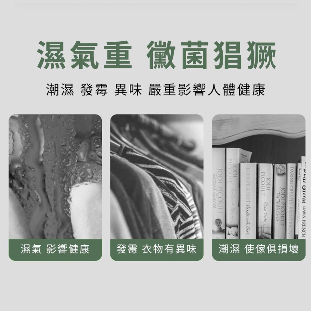 防霉除濕袋家用可掛式衣櫃除濕袋防潮除濕劑乾燥劑 掛飾除濕袋廚房衛浴皆適用（超取上限50包喔～）『小胖子居家』-細節圖2