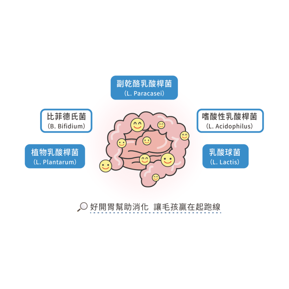 星巴哈尼 犬用 腸胃保健 寵物腸胃保健 寵物益生菌 狗狗益生菌 犬用益生菌 狗狗腸胃保健 犬用腸胃保健-細節圖7