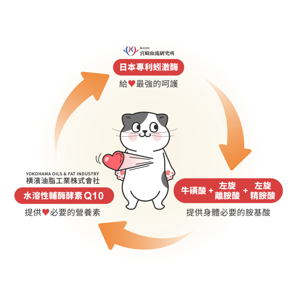 星巴哈尼 貓用 專業心血管保健 24包/盒 貓咪專用 心血管 保健品 保養品 寵物保健品 寵物心血管保健 熟齡貓適用-細節圖6