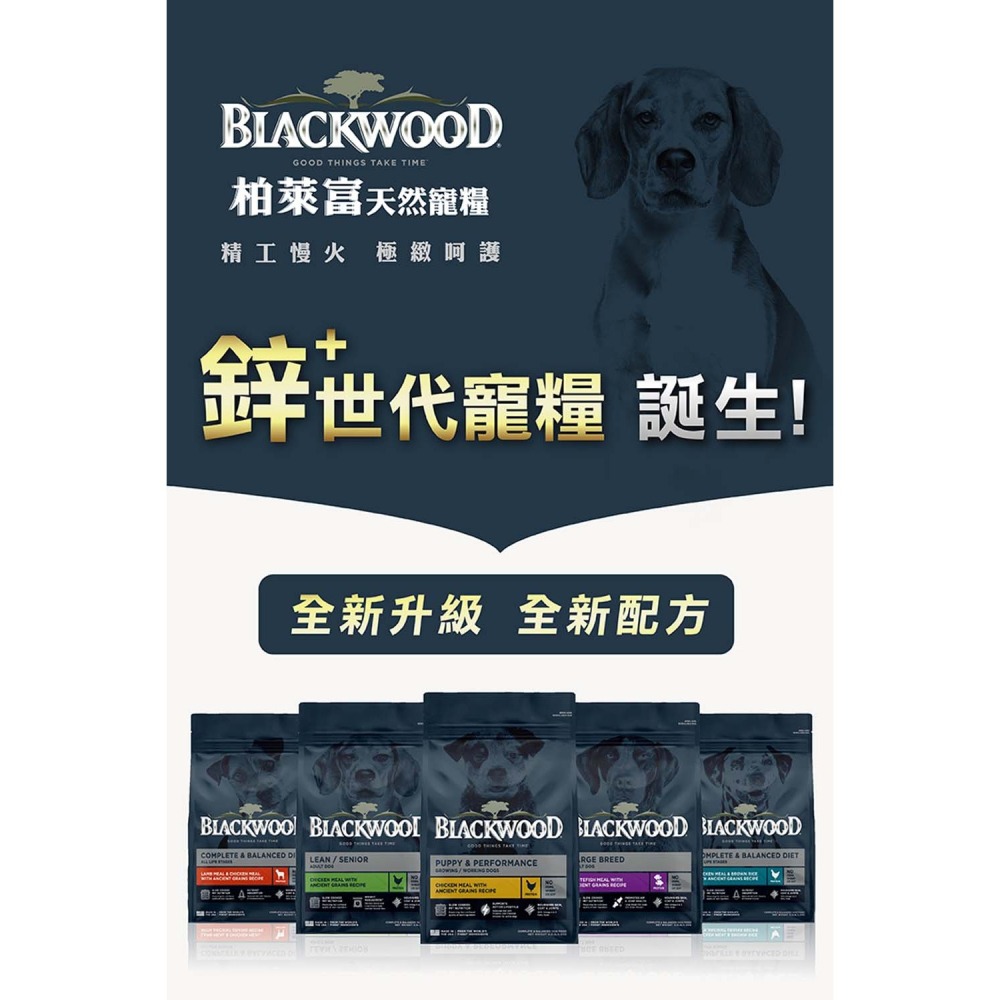 Blackwood 柏萊富 特調成犬活力配方(雞肉+糙米) 狗狗飼料 犬用飼料 成犬飼料 寵物飼料 犬糧 狗糧-細節圖3