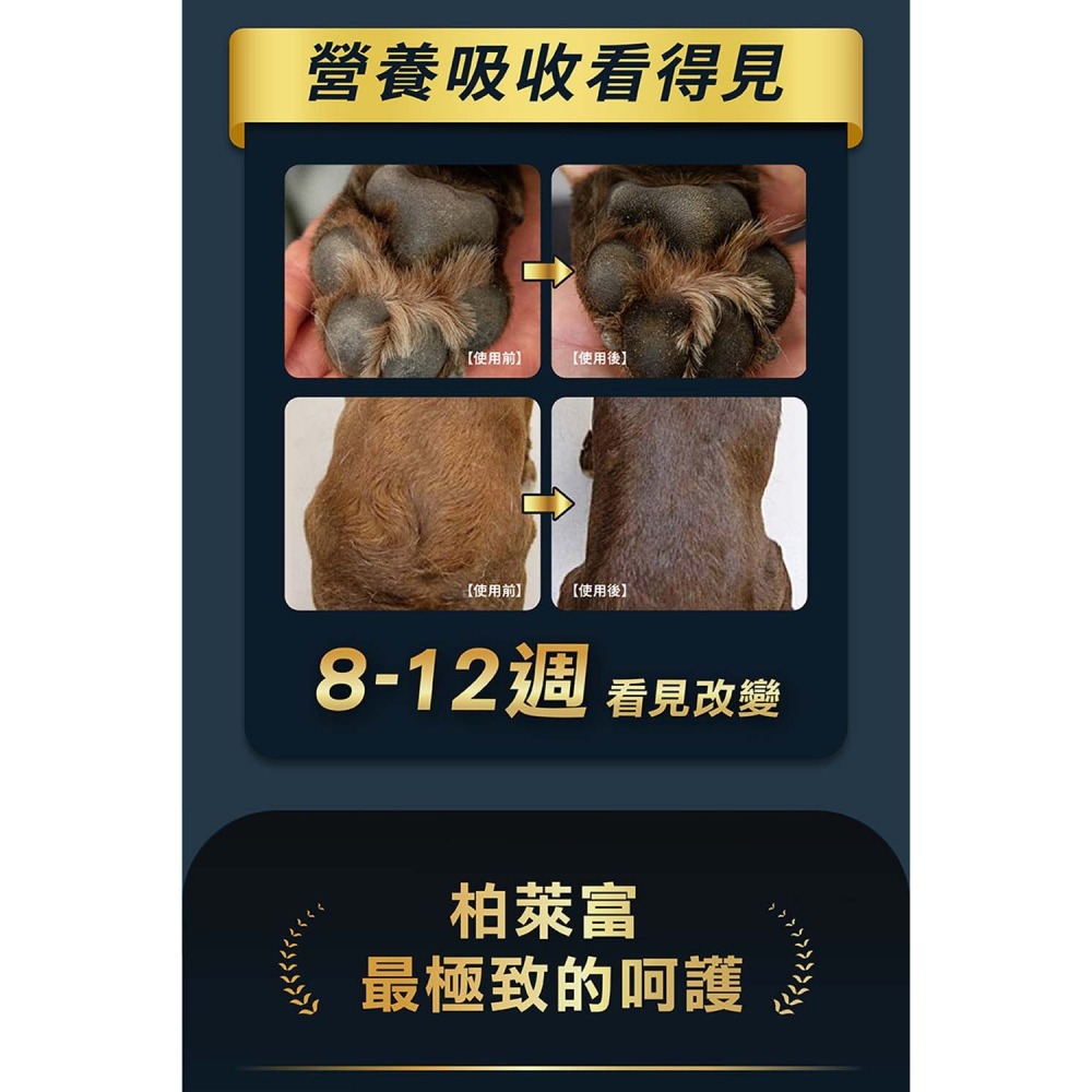 Blackwood 柏萊富 特調成犬活力配方(雞肉+糙米) 狗狗飼料 犬用飼料 成犬飼料 寵物飼料 犬糧 狗糧-細節圖6