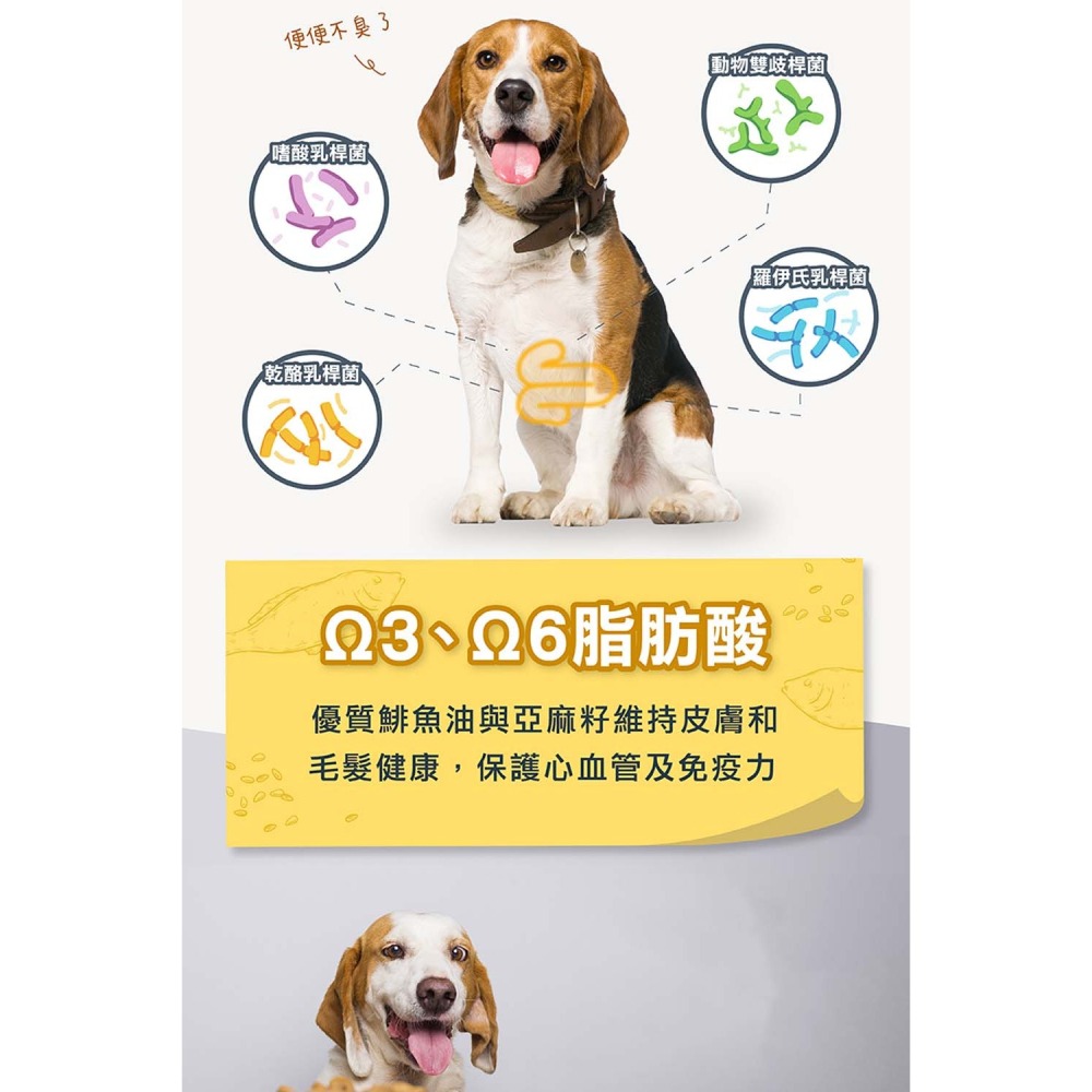 Blackwood 柏萊富 特調成犬活力配方(雞肉+糙米) 狗狗飼料 犬用飼料 成犬飼料 寵物飼料 犬糧 狗糧-細節圖8