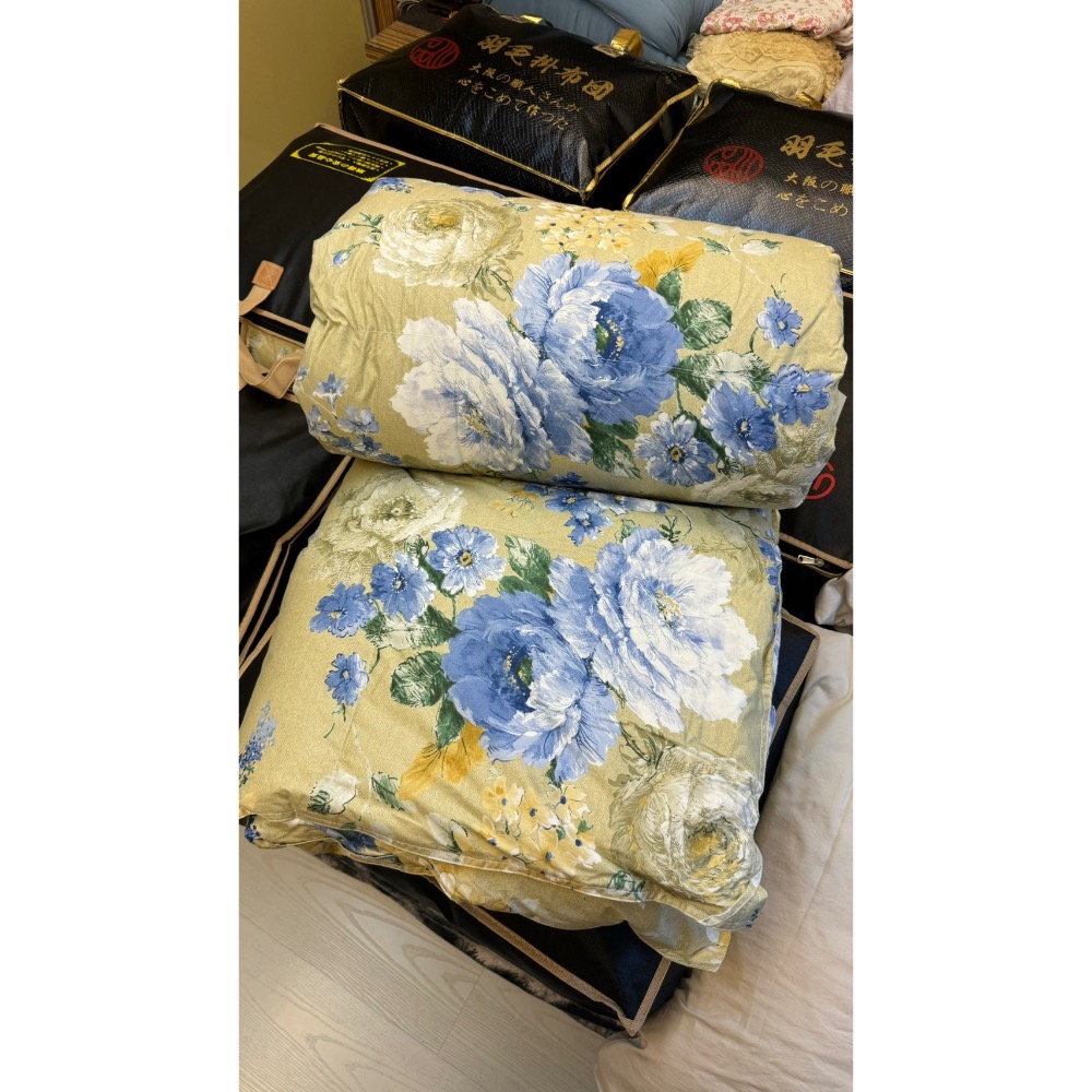 （加大賣場）2024.25 匈牙利羽絨日本製 水鳥羽絨被8綁腳 2.8kg 日本水鳥羽絨被-細節圖6