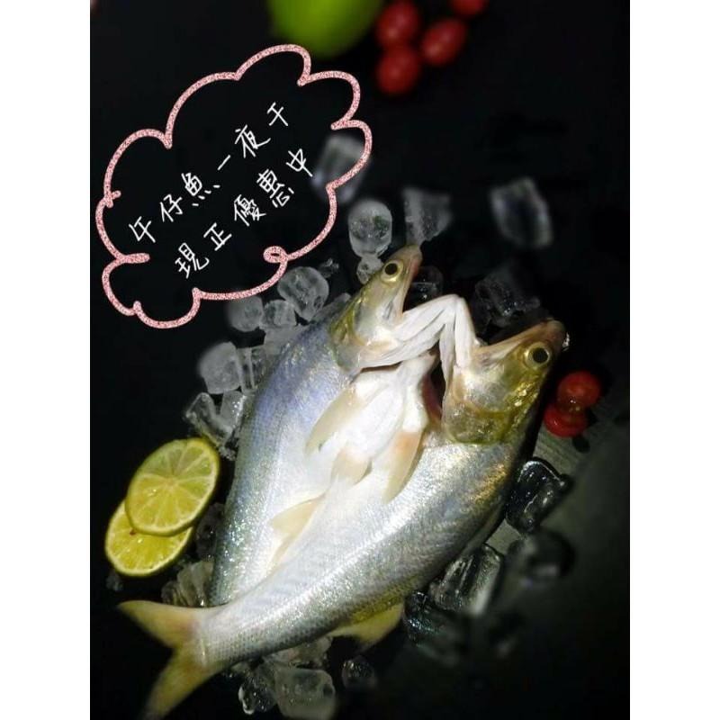 魚魚小舖 午仔一夜干 200g 270g 330g 檢驗合格 10尾-細節圖4