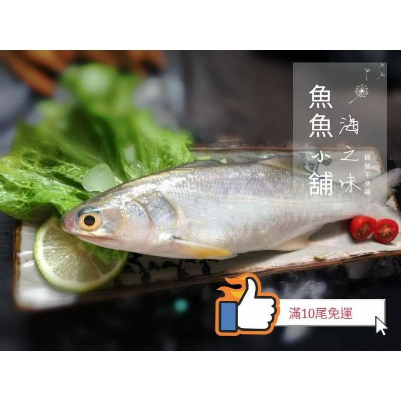 魚魚小舖 午仔一夜干 200g 270g 330g 檢驗合格 10尾-細節圖6