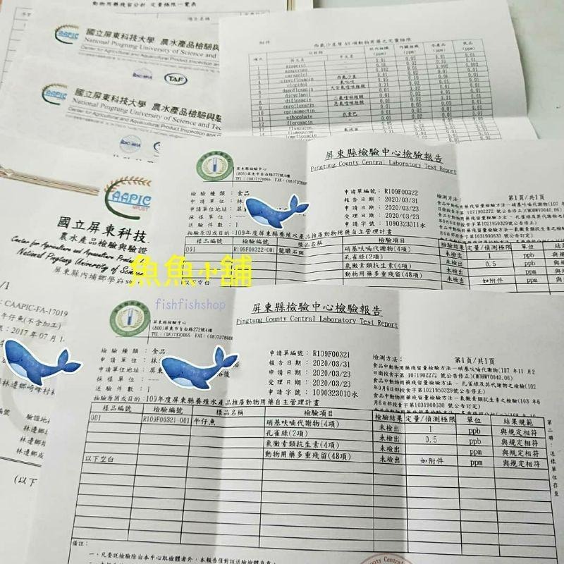 魚魚小舖 午仔一夜干 200g 270g 330g 檢驗合格 10尾-細節圖8